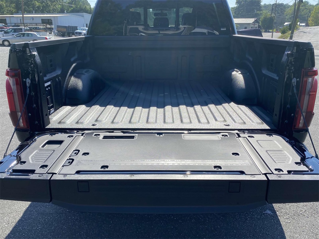 2025 Ford F-150 Platinum photo 6