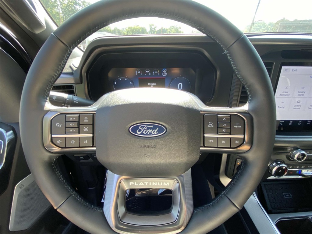 2025 Ford F-150 Platinum photo 15