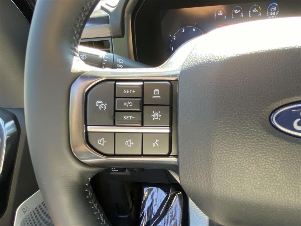 2025 Ford F-150 Platinum photo 16