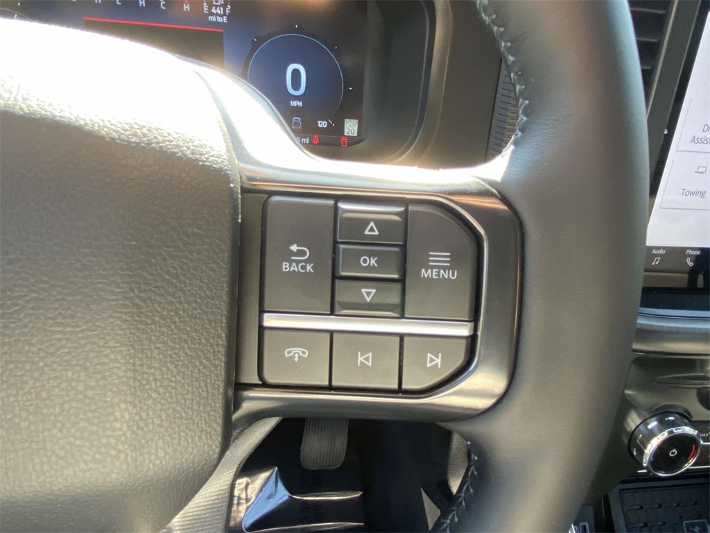 2025 Ford F-150 Platinum photo 17