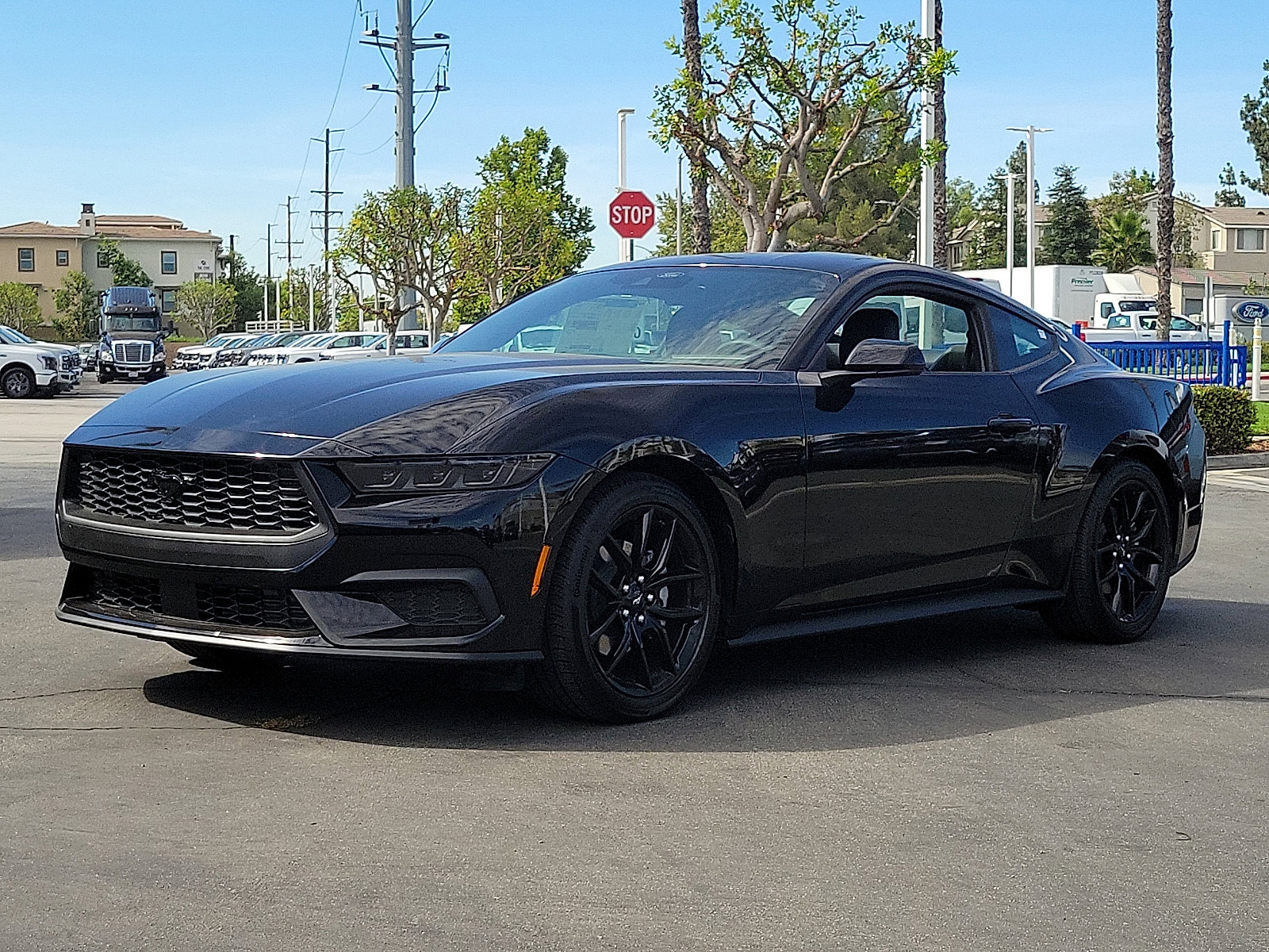 2025 Ford Mustang EcoBoost photo 10