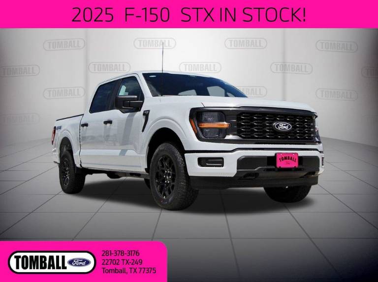 2025 Ford F-150 STX