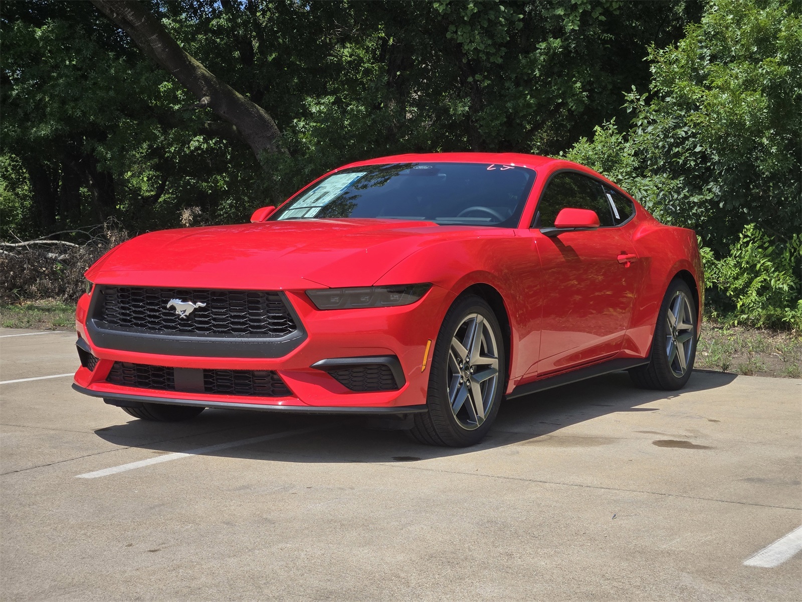 2025 Ford Mustang EcoBoost photo 2