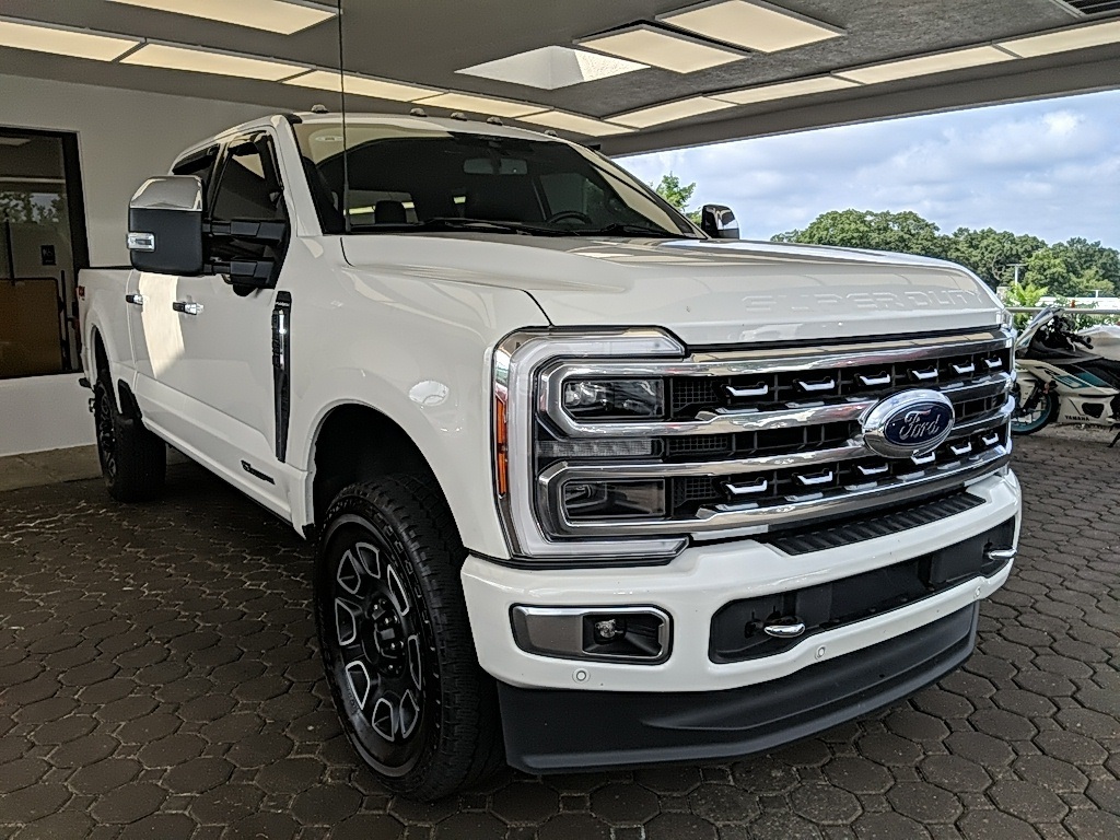 Showcase Image