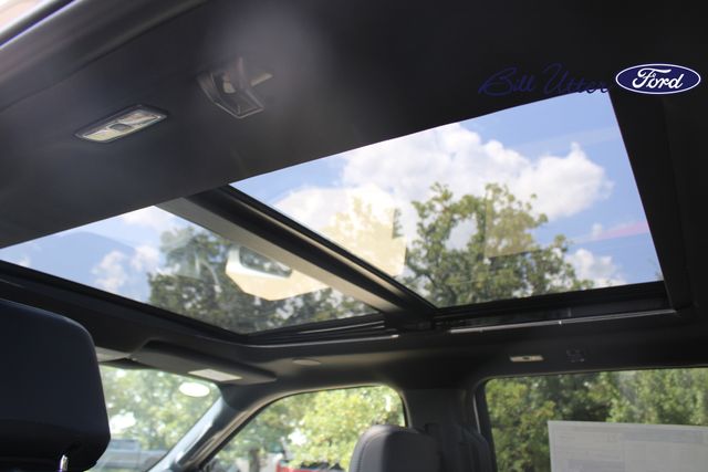 2025 Ford F-150 Platinum photo 13