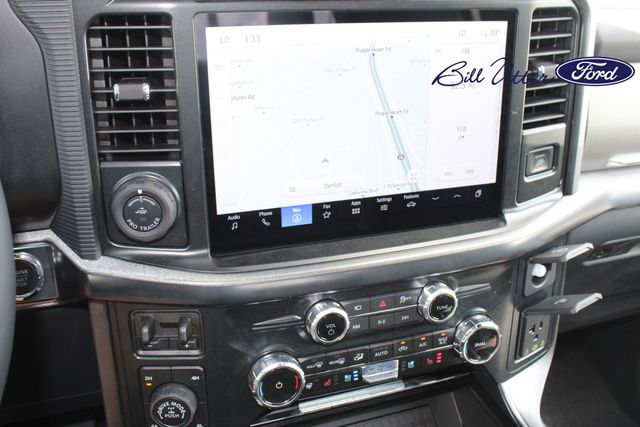 2025 Ford F-150 Platinum photo 15