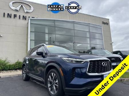 2024 INFINITI QX60 LUXE
