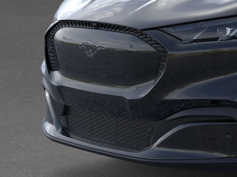 2025 Ford Mustang Mach-E Select photo 14