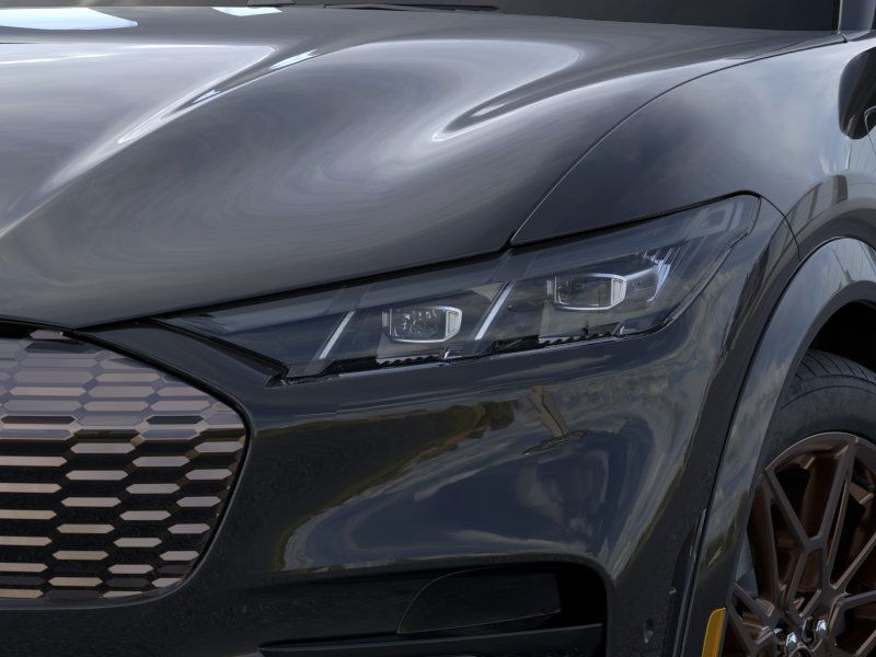 Showcase Image
