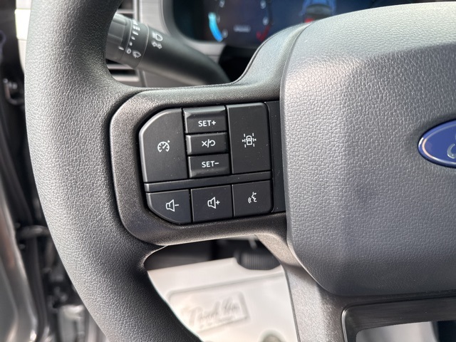 2025 Ford F-150 XL photo 12