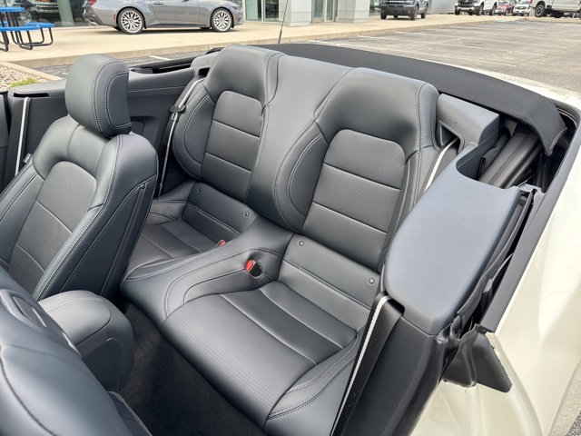 2025 Ford Mustang GT Premium photo 24
