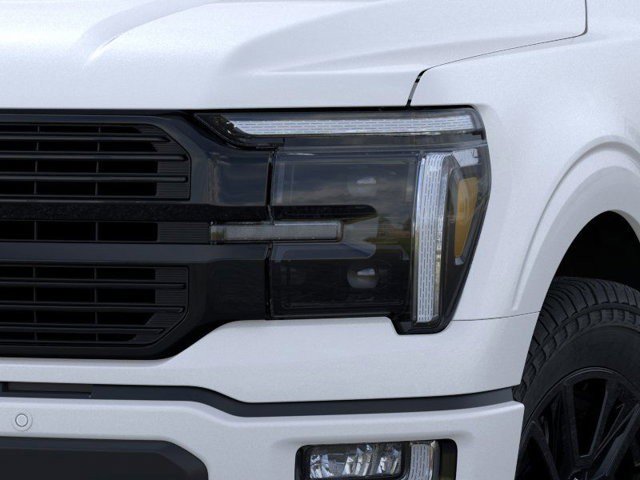 2025 Ford F-150 Platinum photo 16