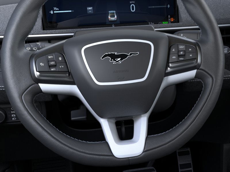 2025 Ford Mustang Mach-E GT photo 15