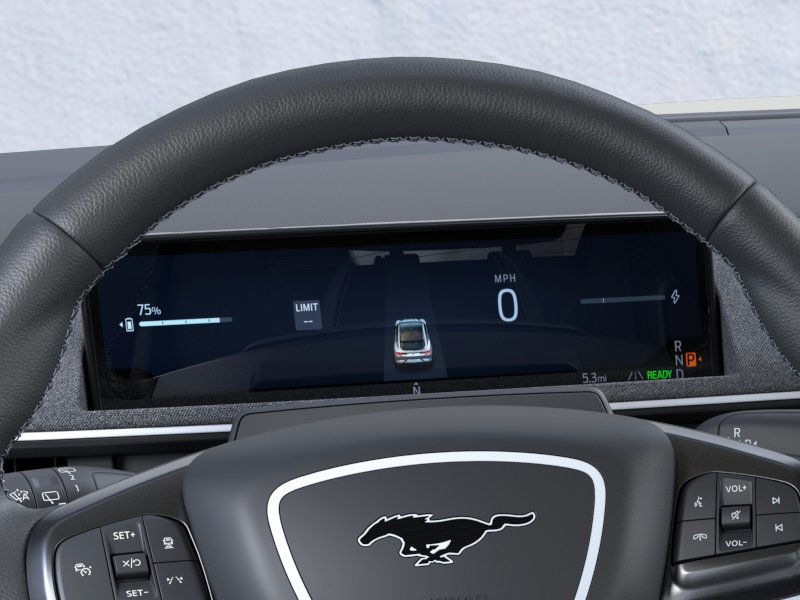 2025 Ford Mustang Mach-E GT photo 16
