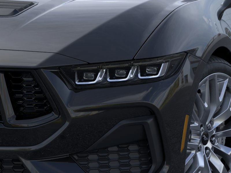 Showcase Image