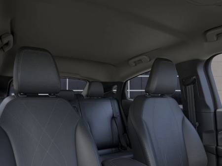 Showcase Image