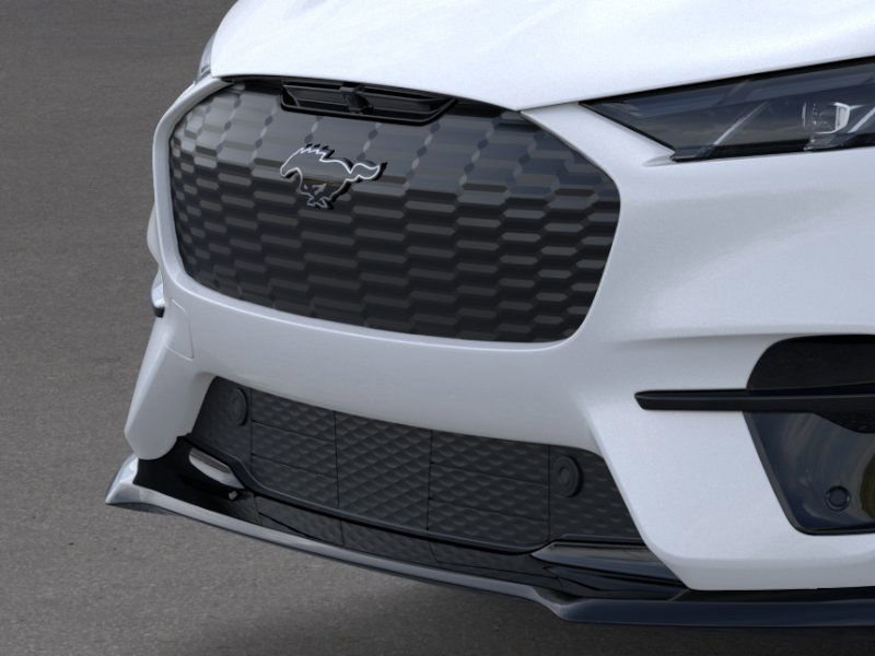 2025 Ford Mustang Mach-E GT photo 13
