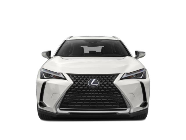 2020 Lexus UX 250h Premium photo 4