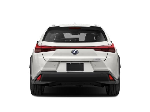 2020 Lexus UX 250h Premium photo 5