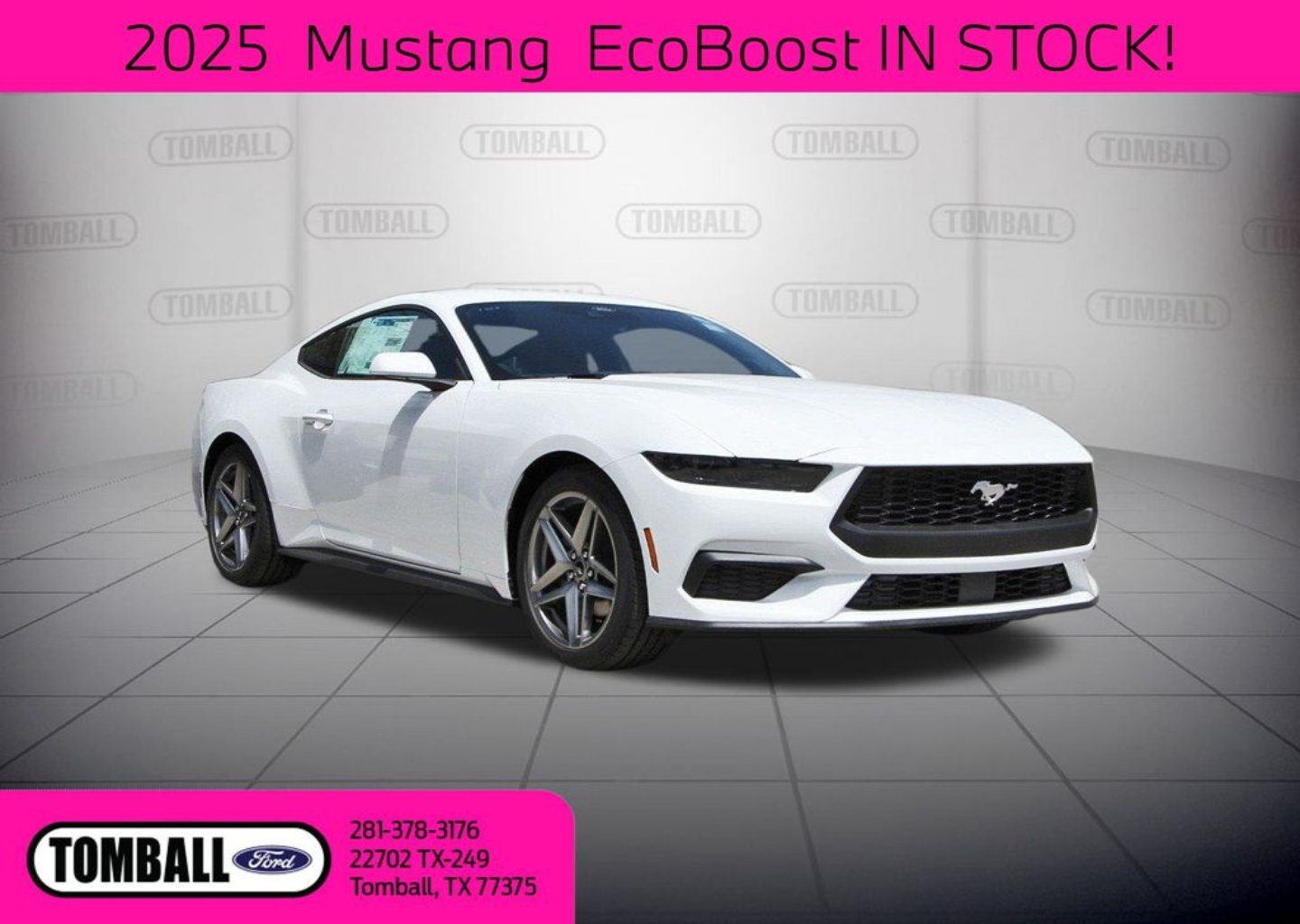 2025 Ford Mustang EcoBoost's photo
