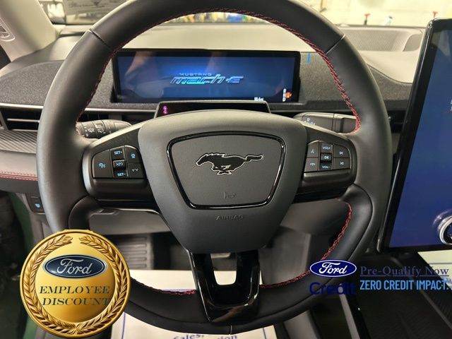 2025 Ford Mustang Mach-E Premium photo 14