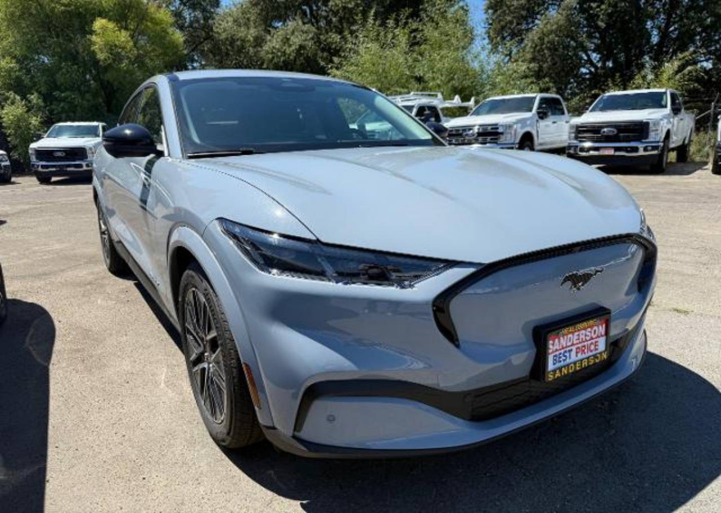 2025 Ford Mustang Mach-E Premium RWD's photo