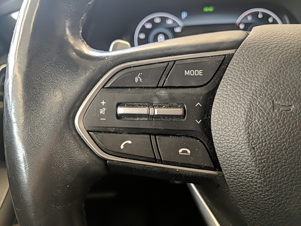 2021 Hyundai Palisade Limited photo 10