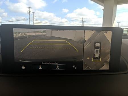 Showcase Image