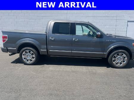2009 Ford F-150 Platinum