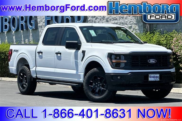 2025 Ford F-150 STX