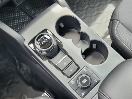 Showcase Image