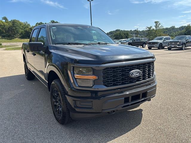 2025 Ford F-150 STX photo 2