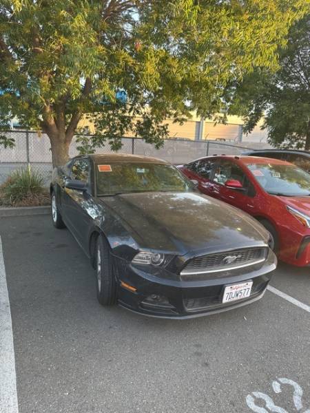 2014 Ford Mustang V6