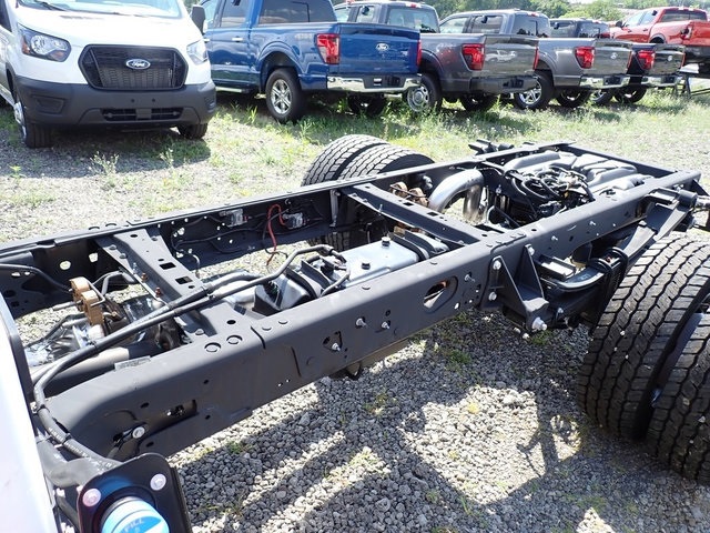 Showcase Image