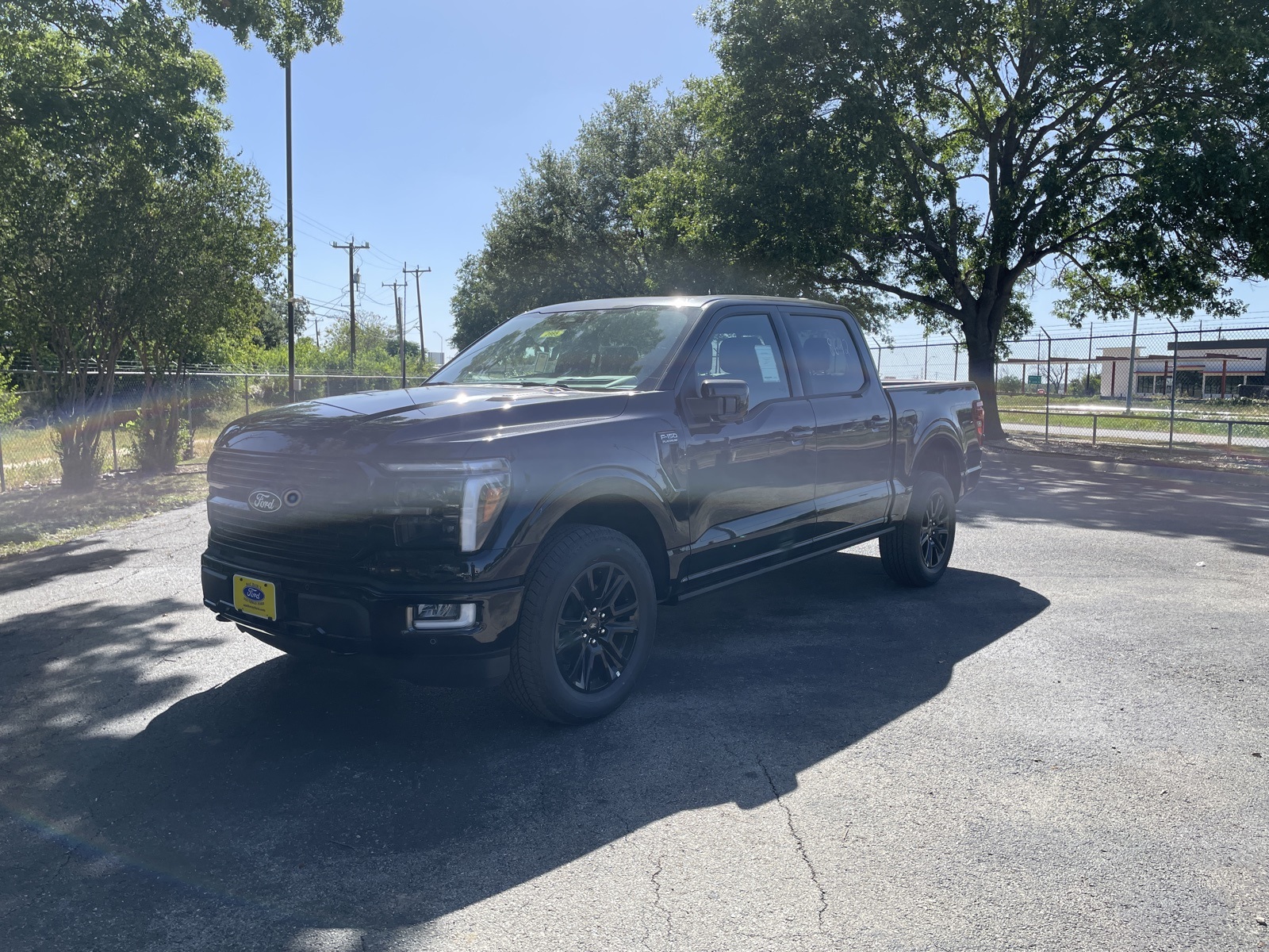 2025 Ford F-150 Platinum's photo