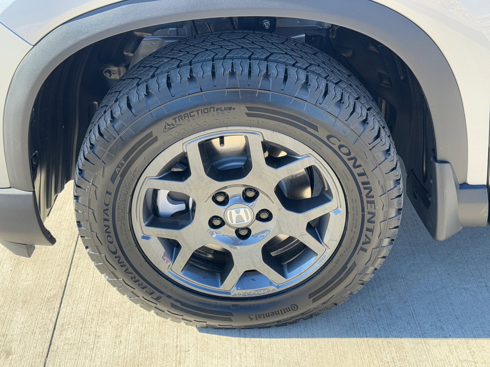 2025 Honda Pilot TrailSport photo 11