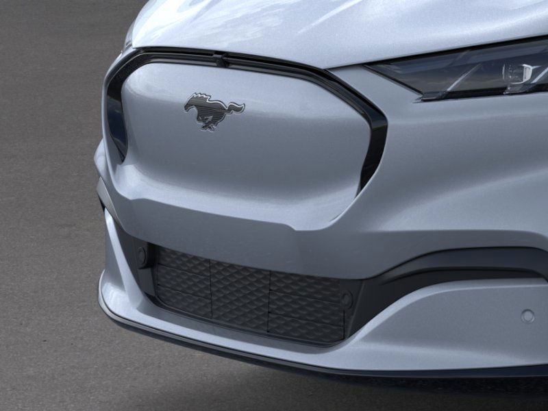 2025 Ford Mustang Mach-E Premium photo 16