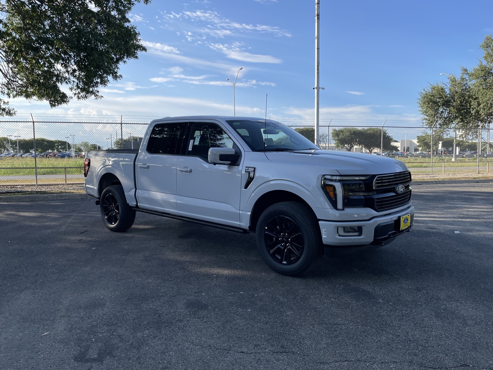 2025 Ford F-150 Platinum photo 4