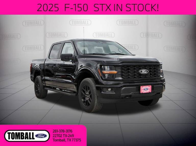 2025 Ford F-150 STX