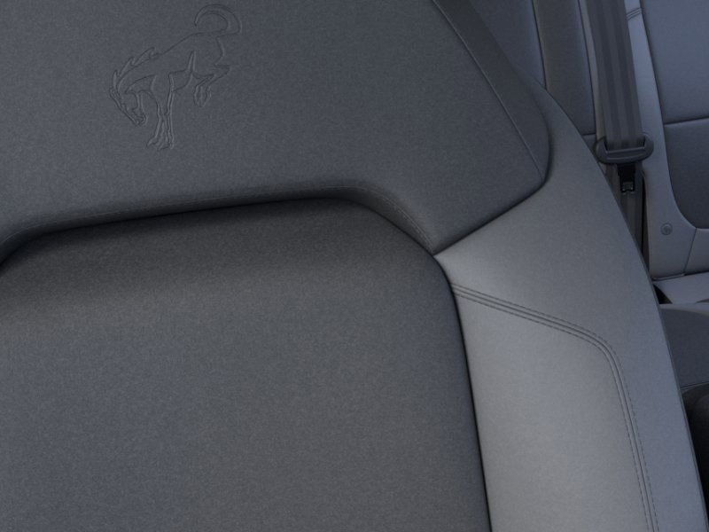 2024 Ford Bronco Black Diamond photo 17