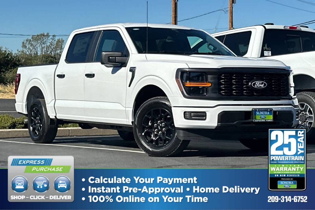 2025 Ford F-150 STX's photo