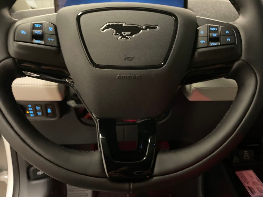 2025 Ford Mustang Mach-E Premium photo 8