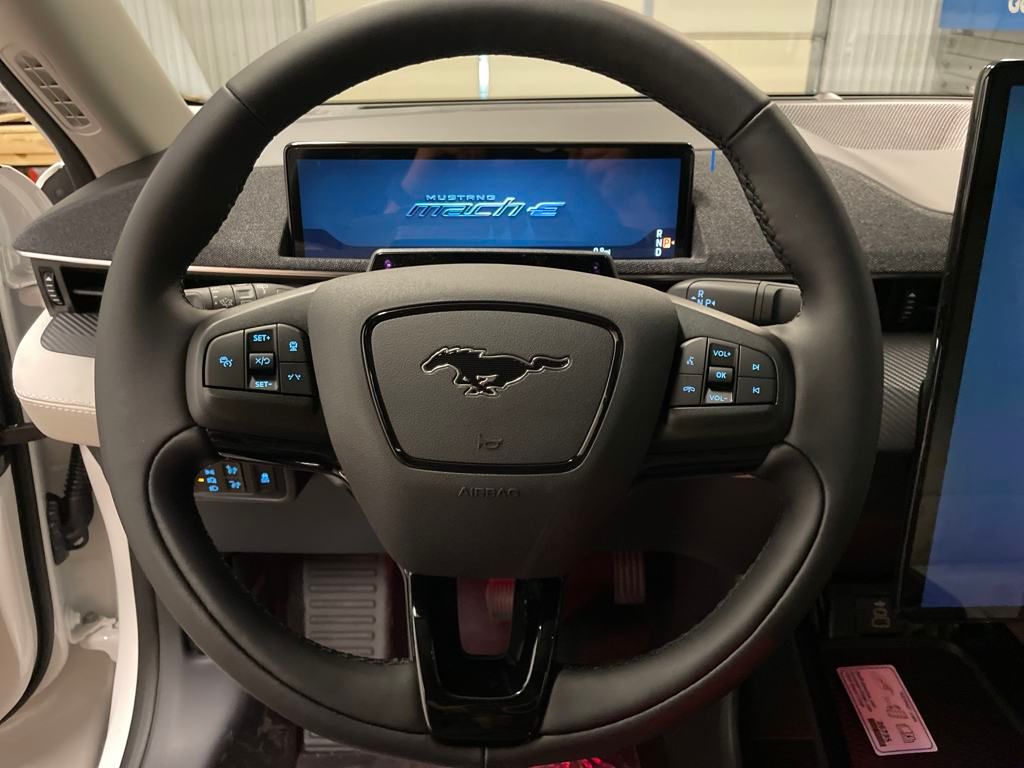 2025 Ford Mustang Mach-E Premium photo 10