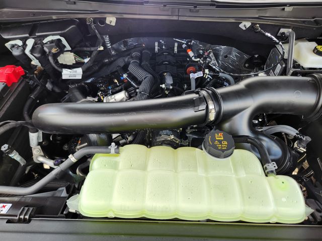 2025 Ford Expedition Platinum photo 19