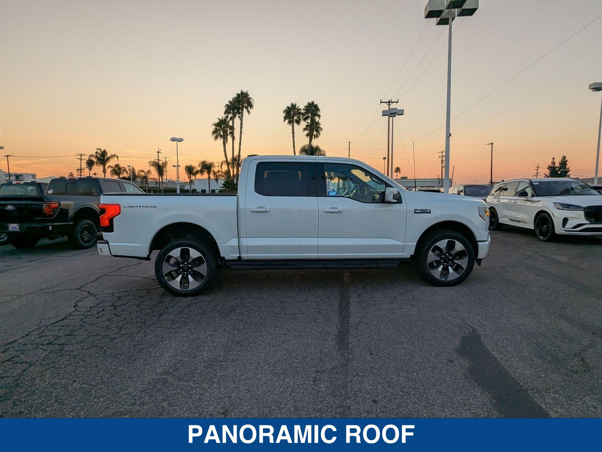 2025 Ford F-150 Lightning Platinum photo 9