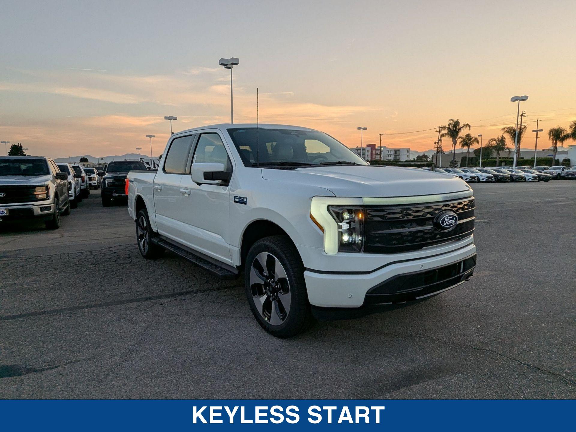 2025 Ford F-150 Lightning Platinum photo 10