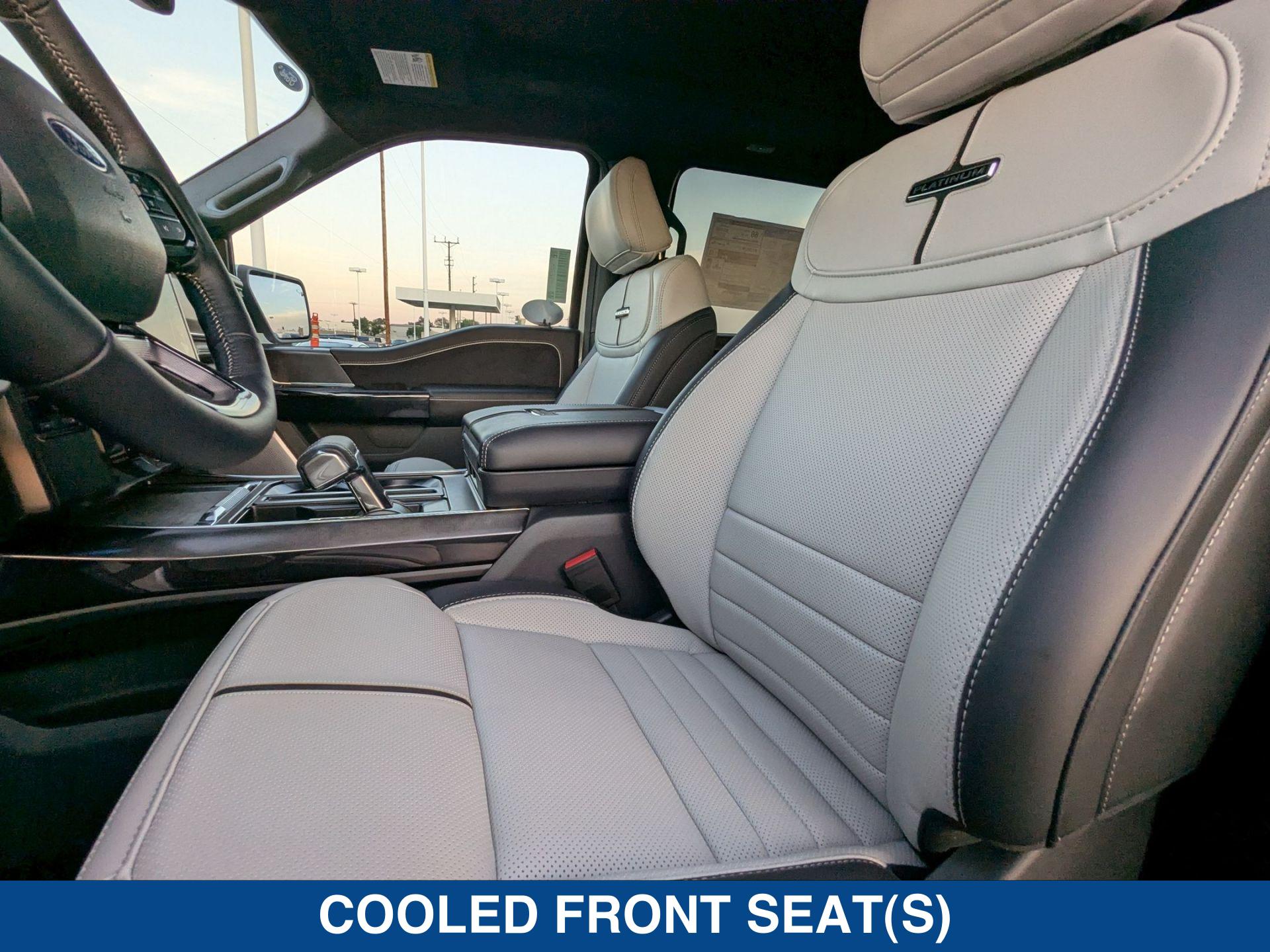 2025 Ford F-150 Lightning Platinum photo 15