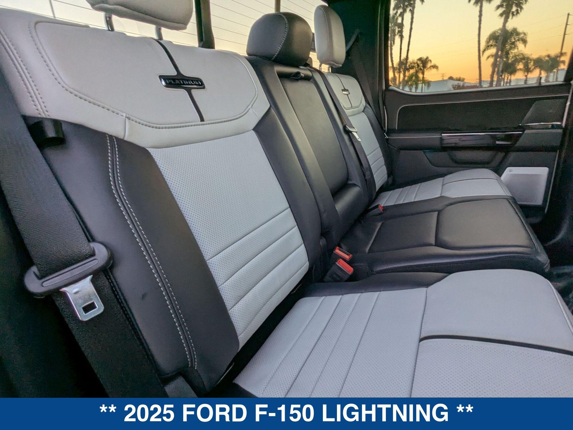 2025 Ford F-150 Lightning Platinum photo 21
