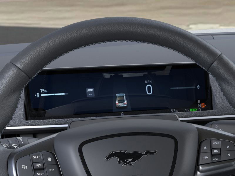 2025 Ford Mustang Mach-E GT photo 11