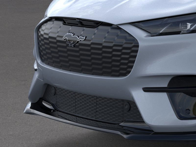 2025 Ford Mustang Mach-E GT photo 13